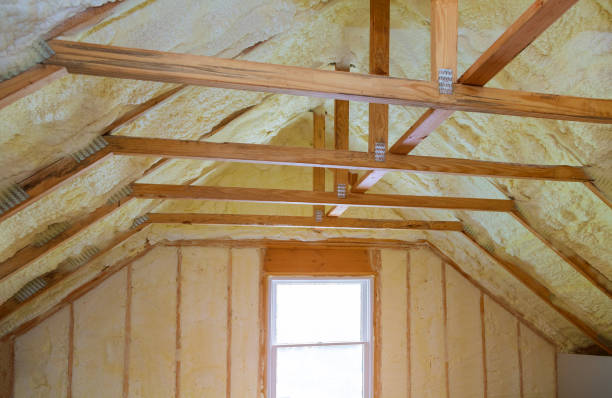 Best Professional Insulation Contractor  in Windcrest, TX
