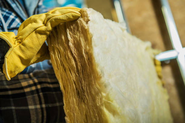 Best Affordable Insulation Services  in Windcrest, TX