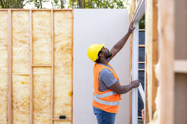 Best Spray Foam Insulation  in Windcrest, TX