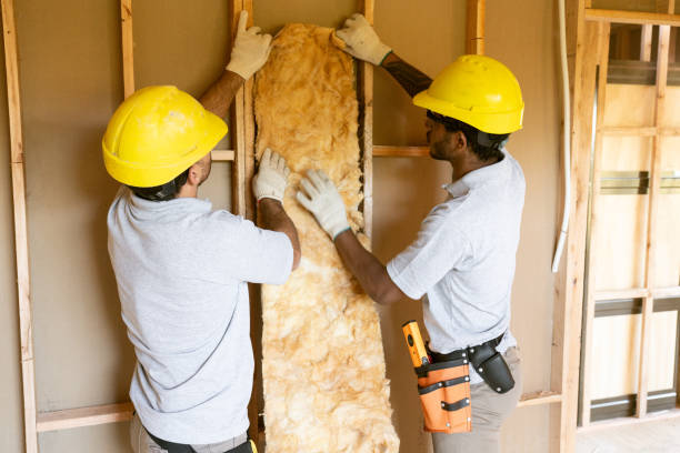 Best Insulation Repair Services  in Windcrest, TX