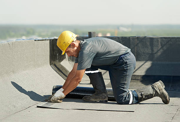 Best Home Insulation Services  in Windcrest, TX