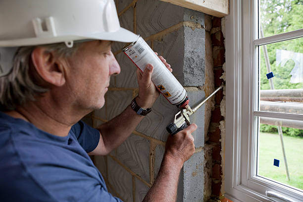 Best Insulation Repair Services  in Windcrest, TX