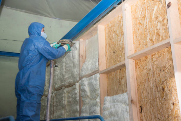 Best Garage Insulation Installation  in Windcrest, TX