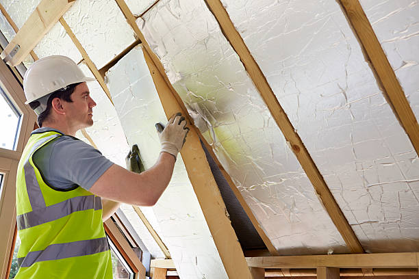 Professional Insulation Contractor in Windcrest, TX