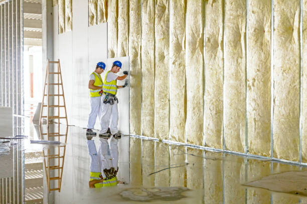 Best Attic Insulation Installation  in Windcrest, TX
